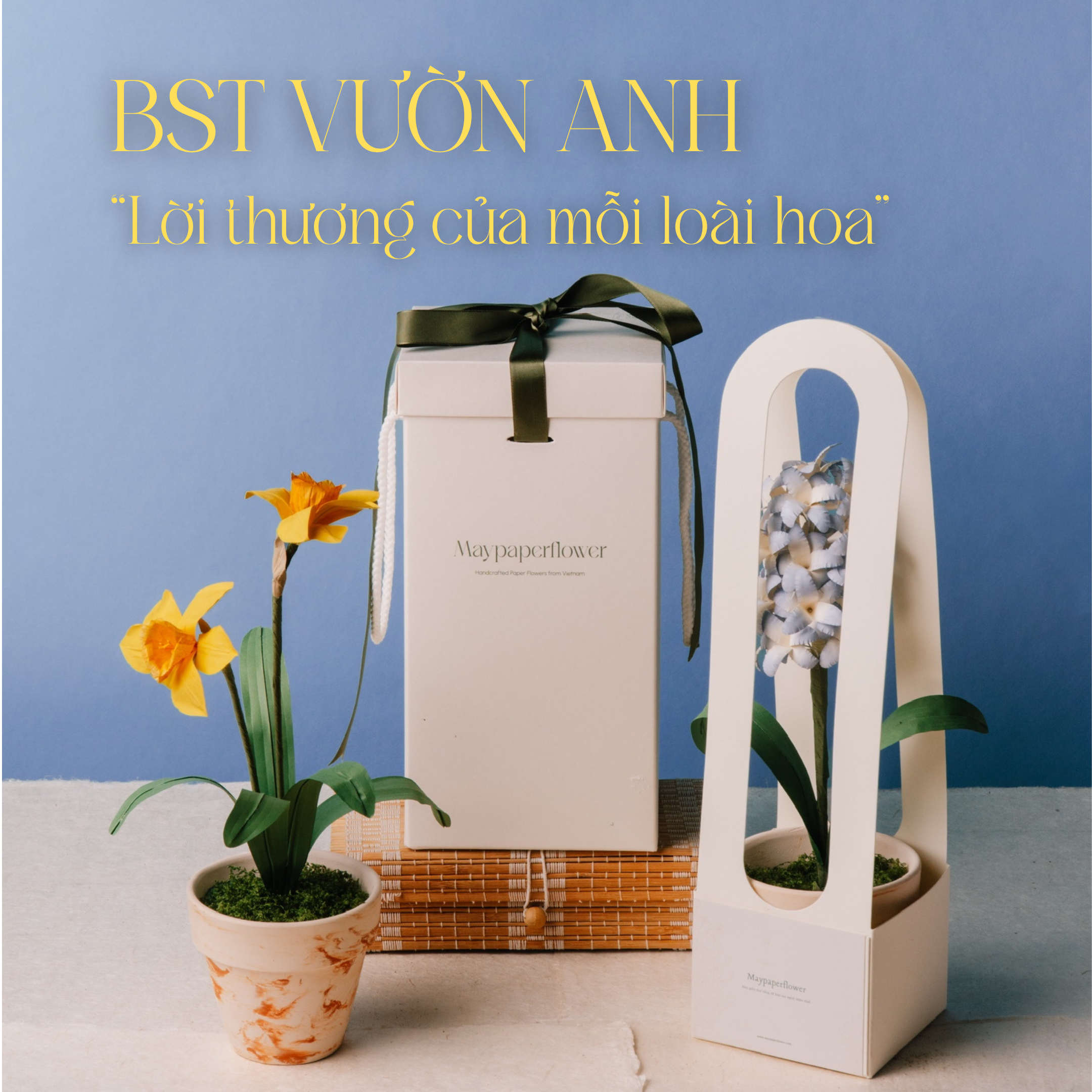 Chậu hoa mini 