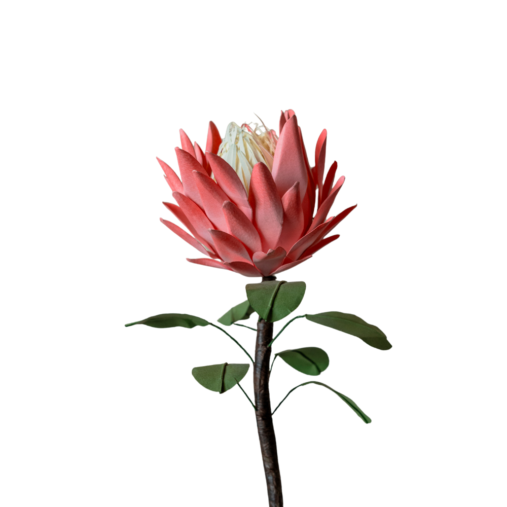 Thảo Đường Đế