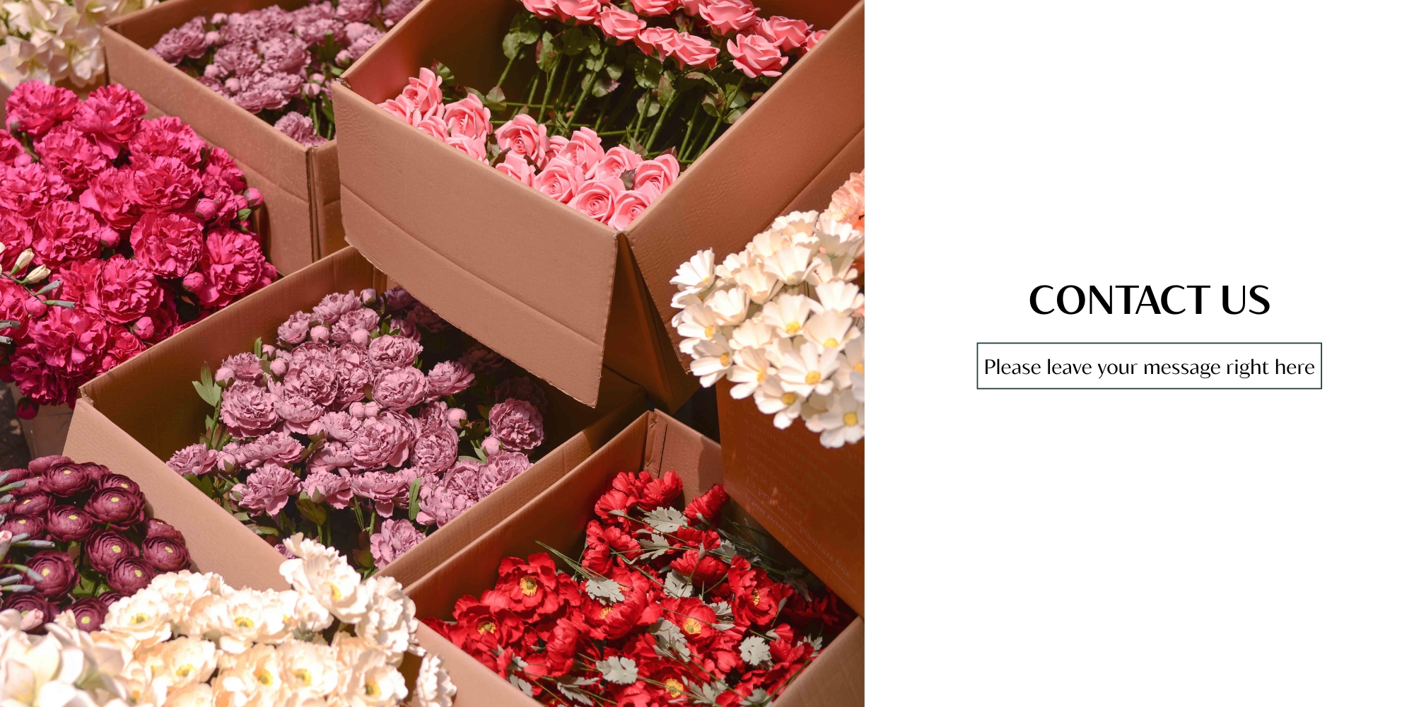 Wholesale