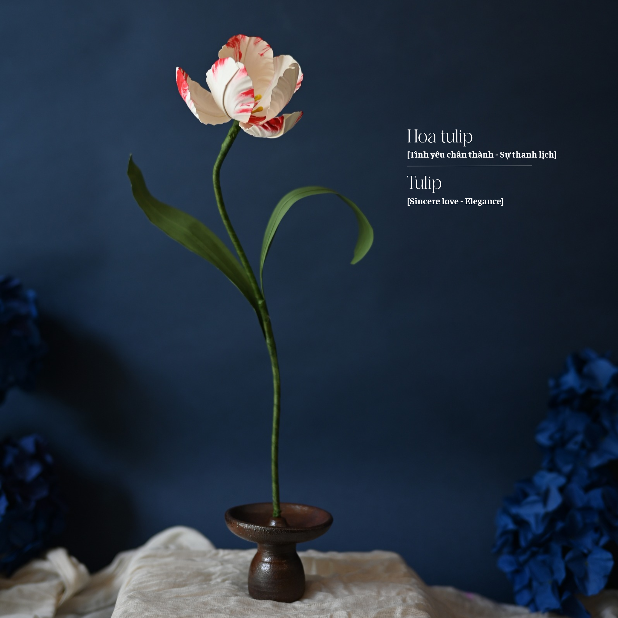 Set hoa tulip chân đế gốm