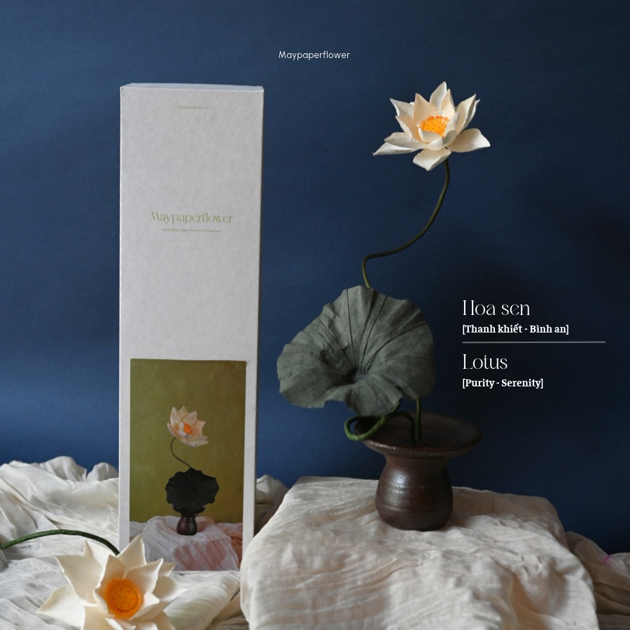 Set hoa sen giấy dướng chân đế gốm